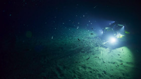 OceanXplorers S01E03 1080p HEVC x265-MeGusta EZTV