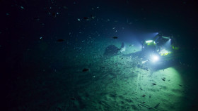 OceanXplorers S01E03 1080p WEB h264-EDITH EZTV