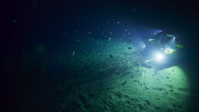 OceanXplorers S01E03 720p HEVC x265-MeGusta EZTV