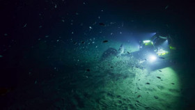 OceanXplorers S01E03 XviD-AFG EZTV