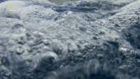 OceanXplorers S01E04 1080p HDTV H264-CBFM EZTV