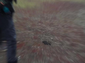 OceanXplorers S01E05 480p x264-mSD EZTV