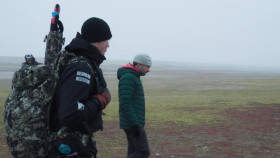 OceanXplorers S01E05 Kingdom of the Polar Bear 720p DSNP WEB-DL DD 5 1 H 264-playWEB EZTV