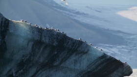 OceanXplorers S01E06 1080p HEVC x265-MeGusta EZTV