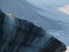 OceanXplorers S01E06 480p x264-mSD EZTV