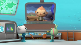 Octonauts Above and Beyond S01 WEBRip x264-ION10 EZTV