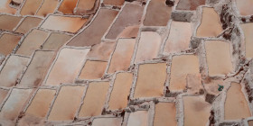 Omnivore S01E03 Salt 720p ATVP WEB-DL DDP5 1 Atmos H 264-FLUX EZTV