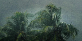 Omnivore S01E06 Rice 1080p ATVP WEB-DL DDP5 1 Atmos H 264-FLUX EZTV