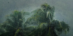 Omnivore S01E06 Rice 720p ATVP WEB-DL DDP5 1 Atmos H 264-FLUX EZTV