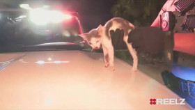 On Patrol Live S03E02 1080p WEB h264-BAE EZTV