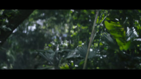 One Hundred Years of Solitude S01E01 720p HEVC x265-MeGusta EZTV