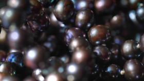 Opal Hunters Red Dirt Road Trip S02E02 1080p WEB H264-CBFM EZTV