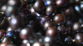 Opal Hunters Red Dirt Road Trip S02E02 XviD-AFG EZTV