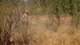 Opal Hunters Red Dirt Road Trip S02E03 1080p HEVC x265-MeGusta EZTV