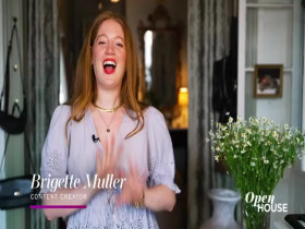 Open House NYC S16E23 480p x264-mSD EZTV