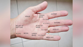 Open Minds With Regina Meredith S27E03 1080p WEB H264-SKYFiRE EZTV