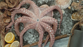 Open Secrets S01E04 1080p WEB H264-CBFM EZTV