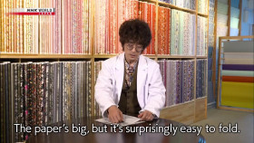 Origami Magic S01E05 The Magical World of Paper Figures 1080p HDTV H264-DARKFLiX EZTV