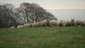 Our Dream Farm with Matt Baker S01E06 1080p WEB h264-EDITH EZTV