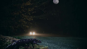 Our Living World S01E02 XviD-AFG EZTV