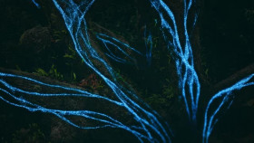 Our Living World S01E04 XviD-AFG EZTV