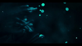 Our Oceans S01E03 1080p HEVC x265-MeGusta EZTV