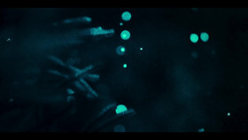 Our Oceans S01E03 1080p WEB h264-ETHEL EZTV