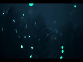 Our Oceans S01E03 480p x264-mSD EZTV