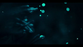 Our Oceans S01E03 720p HEVC x265-MeGusta EZTV