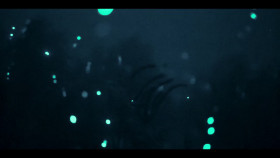 Our Oceans S01E03 720p x265-TiPEX EZTV