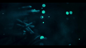 Our Oceans S01E03 Atlantic Ocean 720p NF WEB-DL DDP5 1 Atmos H 264-playWEB EZTV