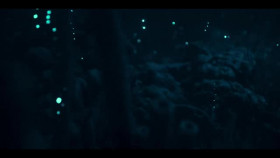 Our Oceans S01E03 XviD-AFG EZTV