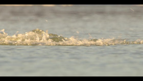 Our Oceans S01E04 Arctic Ocean 720p NF WEB-DL DDP5 1 Atmos H 264-playWEB EZTV