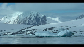 Our Oceans S01E05 720p x265-TiPEX EZTV