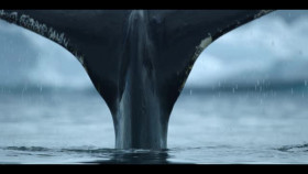 Our Oceans S01E05 XviD-AFG EZTV