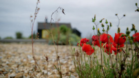 Our Welsh Chapel Dream S01E04 1080p WEB H264-CBFM EZTV