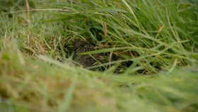 Our Yorkshire Farm S04E01 XviD-AFG EZTV