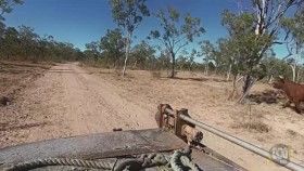 Outback Ringer S01E04 XviD-AFG EZTV