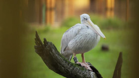 OutDaughtered S10E08 XviD-AFG EZTV