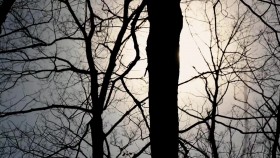 Outlander S04E09 720p WEB x265-MiNX EZTV