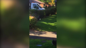 Outrageous Love With NeNe Leakes S01E01 1080p WEB h264-EDITH EZTV