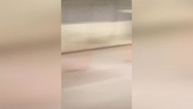 Outrageous Love With NeNe Leakes S01E06 1080p WEB h264-EDITH EZTV