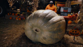 Outrageous Pumpkins S04E05 XviD-AFG EZTV