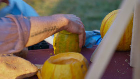 Outrageous Pumpkins S05E01 1080p HEVC x265-MeGusta EZTV