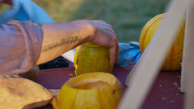 Outrageous Pumpkins S05E01 720p HEVC x265-MeGusta EZTV