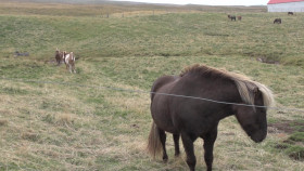 Outta Town Adventures S01E02 1080p WEB H264-CBFM EZTV