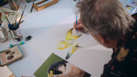 Painting Birds With Jim And Nancy Moir S02E01 1080p WEB h264-EDITH EZTV