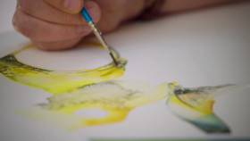 Painting Birds With Jim And Nancy Moir S02E01 1080p WEB H264-NGP EZTV