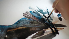 Painting Birds With Jim And Nancy Moir S02E04 XviD-AFG EZTV