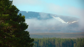 Painting Birds With Jim And Nancy Moir S02E05 1080p HEVC x265-MeGusta EZTV